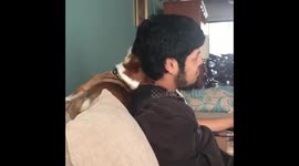 My dogs hair fetish