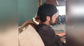 Newsflare Edit - My dogs hair fetish