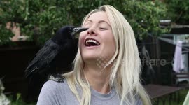 Woman adopts disabled Rook