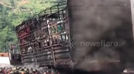 Hundreds of watermelons go up in flames in lorry crash