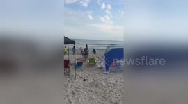 Newsflare Edit - Man catches shark...priceless reaction