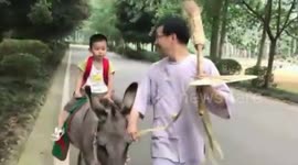 Father interested in historical Chinese customs commutes with son on a cow