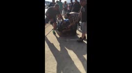Lees landing bar fight 2017