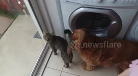 Morning dash for the toilet