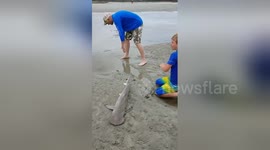 Newsflare Edit - Cherry Grove Myrtle Beach Lifeguard Saves Hammerhead Shark ! 6/20/17