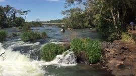 Iguazu falls
