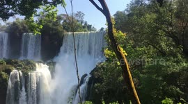 Iguazu falls
