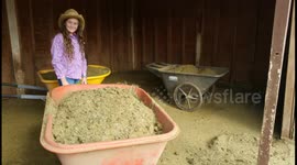 A 10 year old gets a horse (a time line)