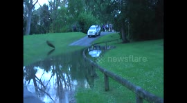 Wanganui River Flood