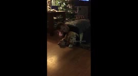 Dog hears word