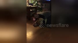 Newsflare Edit - Dog hears word