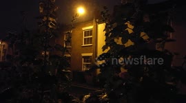 Rain on hollyhocks at night