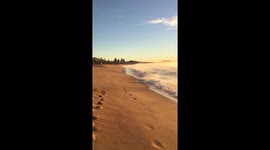 Misty sea sunrise