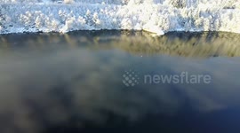 White-tailed Eagles hunt and kill two ducks in Norwegian fjord