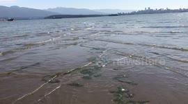 Crosscurrents meeting at sand bank create beautiful patterns