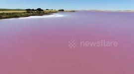 Pink Salt Lake in South Australia