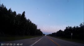 Car Hits Deer