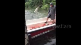 Fish jump onto boat as water level of river rises dramatically