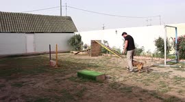 Dog trainer