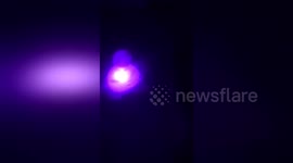 Newsflare Edit - Dancing duck in bath