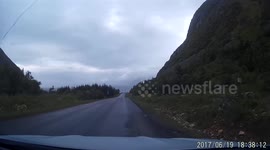stupid tourists block the road