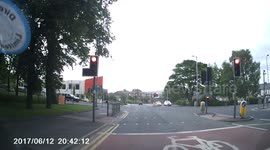 Why did the Squirrel cross the road