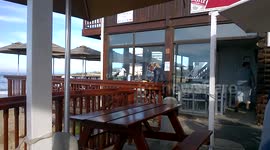 Seagull steals calamari from unaware customer