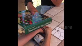 Man uses book to remove ganglion cyst