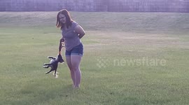 Flying dog