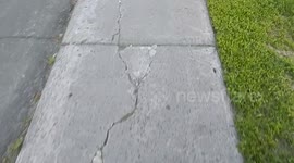 Quebec Public Roads and Sidewalks Crack Me Up