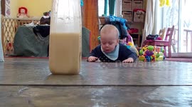 Baby Crawl For The Prize