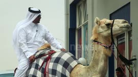 Man rides his camel into Burger King drive-thru in Qatar