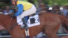 Horse races in the heart of Madrid. Horses close centre of Madrid