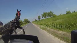 Dashcam captures incredible near-miss with horse