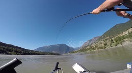 Catching a 1.5 meter sturgeon on the Fraser River, British Columbia