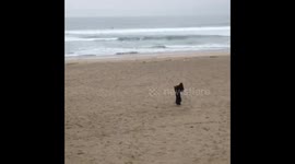 Grim Reaper dancing on the beach !