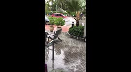 Storm Miami