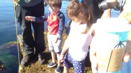 Kid Catches Eel instead of Lobster Hear the Surprise !
