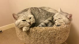 We can still fit!