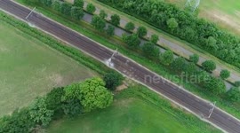 Storks nesting above railway in 4k