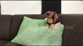 Stuffed animal never stood a chance