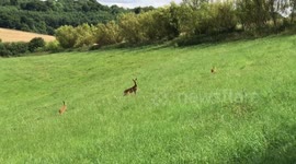 Drift Trike - Is this how you Ride it? - GeoOrbital Electric Drift Trike 26