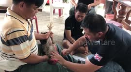 Drug smuggler apologises to CHICKENS after putting drugs in their throats
