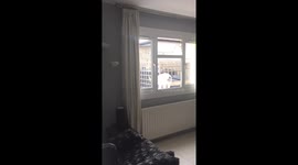Dog breaks into house