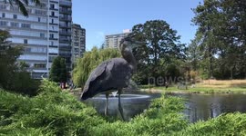 Nesting heron turn forest white with poop