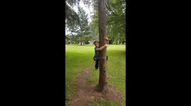Tree climbing gone wrong