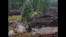 Heavy rainstorm causes flash flooding in Arizona