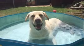 Summer cool down