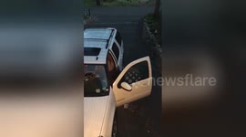 Bear breaks into car near Lake Tahoe, USA