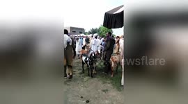 Newsflare Edit - Hazro itwar mandi